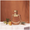 Chloé Nomade Absolu De Parfum edp 75ml