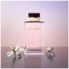 Dolce & Gabbana Pour Femme edp 100ml