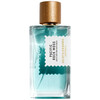 Goldfield & Banks Pacific Rock Moss edp 100ml