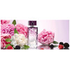 Lalique Amethyst Eclat edp 100ml