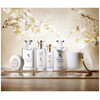 BVLGARI Eau Parfumee Au The Blanc edc 75ml