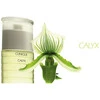 Clinique Calyx edp 50ml
