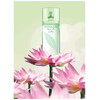 Elizabeth Arden Green Tea Lotus edt 100ml