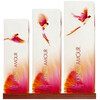 Kenzo Amour edp 100ml