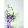 Prada Infusion d'Iris edp 50ml