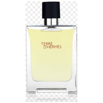 Hermes Eau D'Hermes edt 100ml