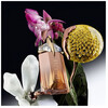 Thierry Mugler Alien Goddess Supra Florale edp 60ml