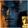 Tom Ford Noir Extreme Parfum 100ml