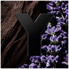 Yves Saint Laurent Y Le Parfum edp 100ml