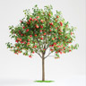 Apfelbaum