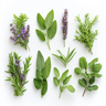 Aromatische Noten
