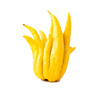 Buddha-Hand