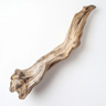 Trockenes Holz
