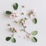 Blumige Noten
