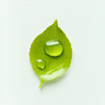Grüner Saft