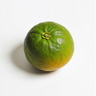 Grüne Mandarine