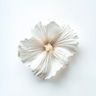 Gustavia-Blume