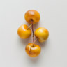 Mirabelle