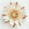 Nachtblühender Cereus