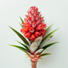 Ananasblüte
